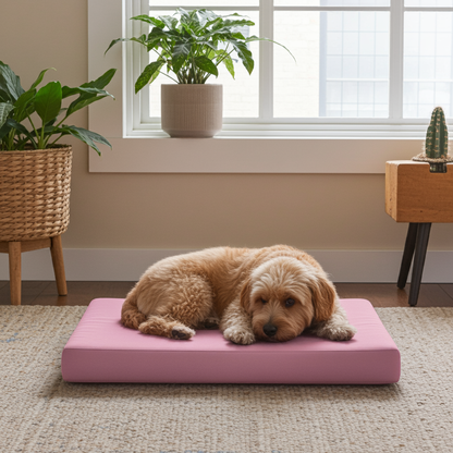 Indoor Hundekissen nach Maß