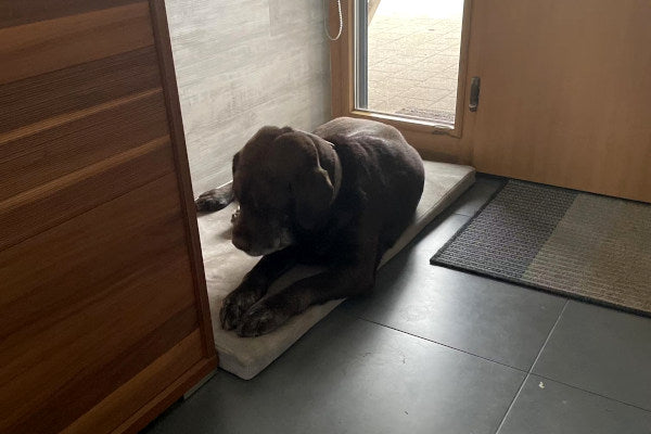 Tappetino per cani su misura